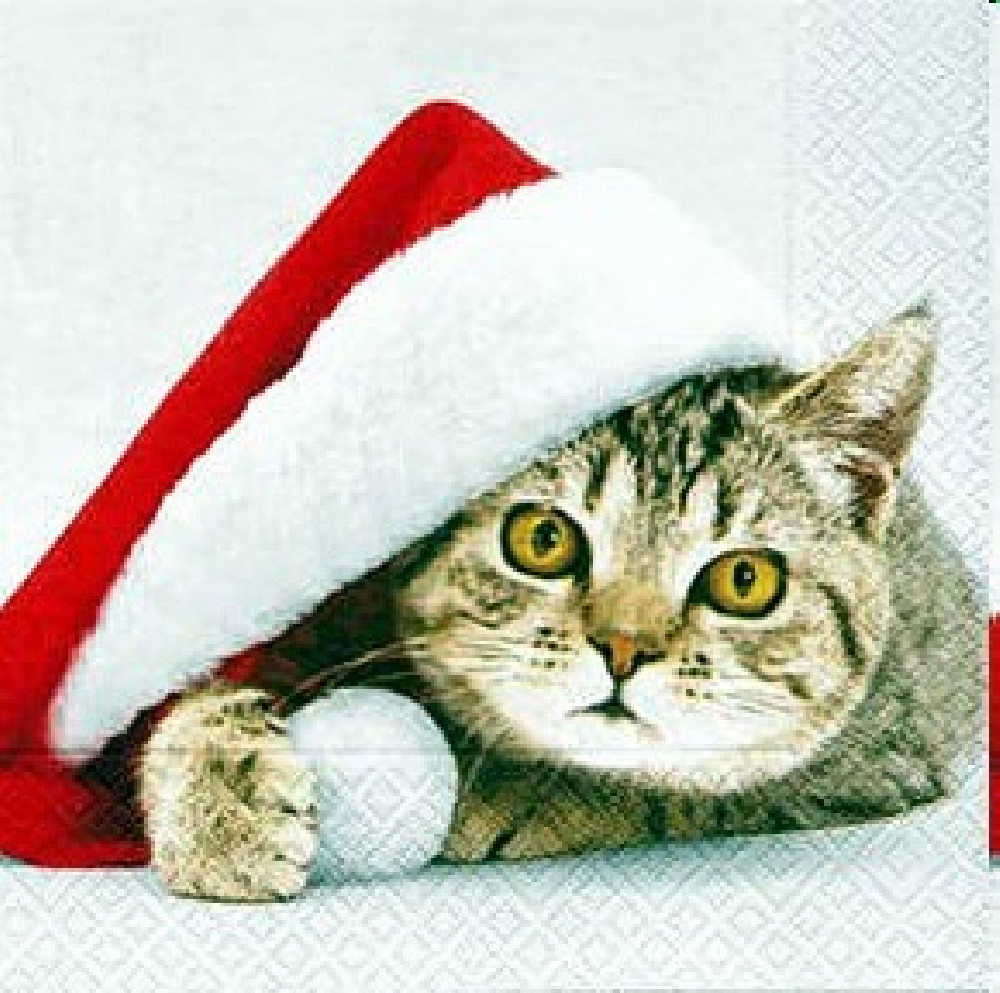 Weihnachtliche Tischservietten Santa cat Weihnachtliche Tischservietten Santa cat