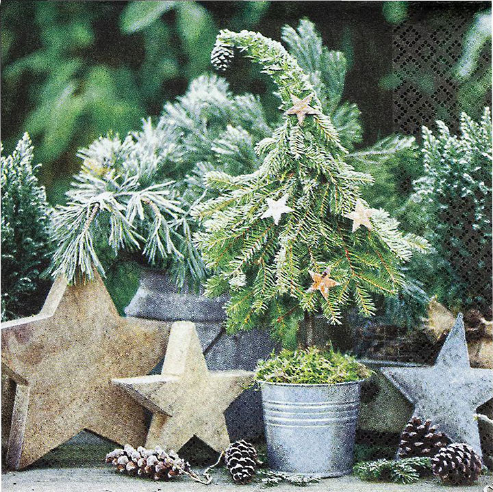 Servietten Sweet Fir Tree