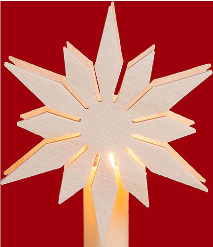 Taulin Aufsteckstern Blume Taulin Aufsteckstern Blume
